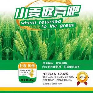 小麦返青肥